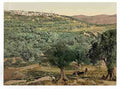 Vintage General view Samaria A4 Photo Print