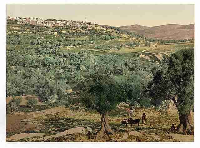Vintage General view Samaria A4 Photo Print