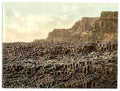 Vintage Giants Causeway County Antrim A4 Photo Print