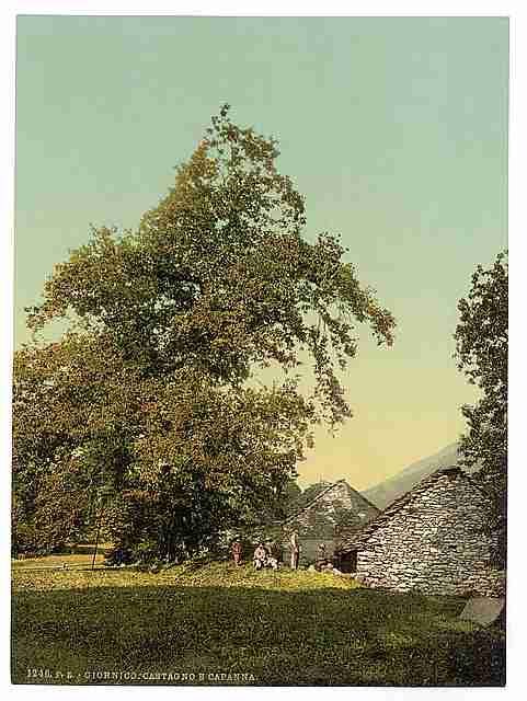 Vintage Giornico peasants hut St Gotthard Railway A4 Photo Print