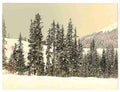 Vintage Grisons Switzerland in winter A4 Photo Print