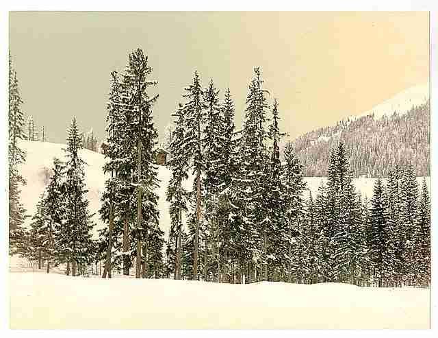 Vintage Grisons Switzerland in winter A4 Photo Print