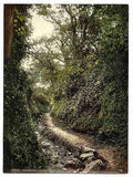 Vintage Guernsey water lane Moulin Huet Channel Islands A4 Photo Print