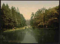 Vintage In Zeister Wood Utrecht Holland A4 Photo Print