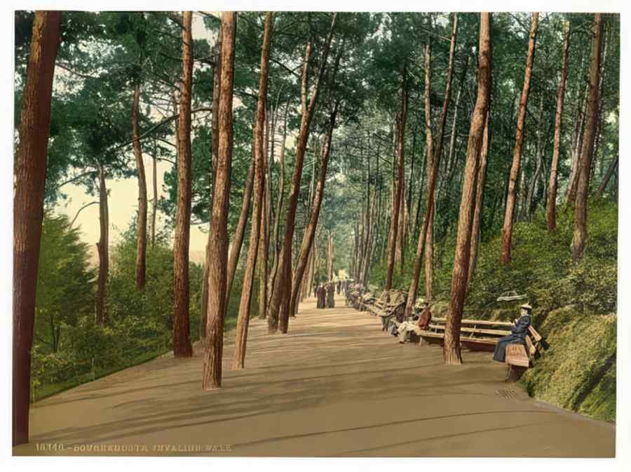 Vintage Invalids Walk Bournemouth England A4 Photo Print