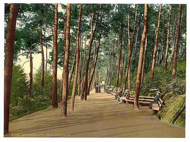 Vintage Invalids walk Bournemouth A4 Photo Print