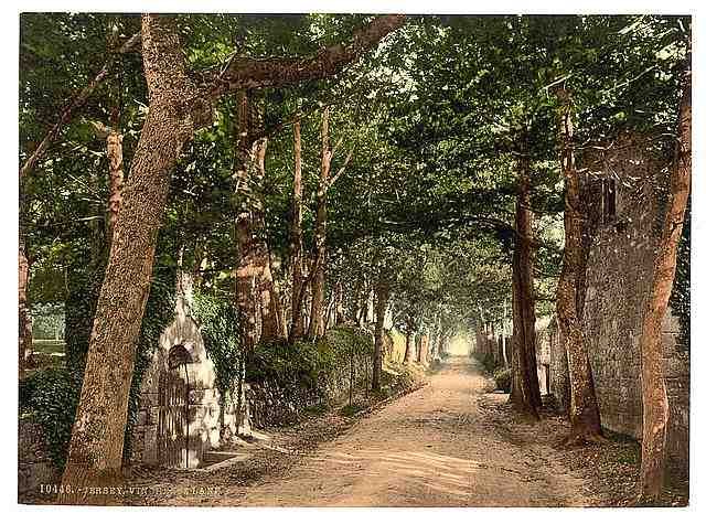 Vintage Jersey Vinchelez Lane Channel Islands A4 Photo Print