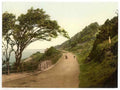 Vintage Kewstoke Road Westonsupermare England A4 Photo Print