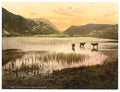 Vintage Llyn Dinas Gwynant Valley A4 Photo Print