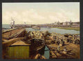 Vintage Loading codfish Archangel Kola Peninsula A4 Photo Print