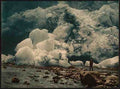Vintage Loen Kjendalskronebrae II Nordfjord A4 Photo Print