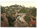 Vintage Loschwitz Saxony A4 Photo Print