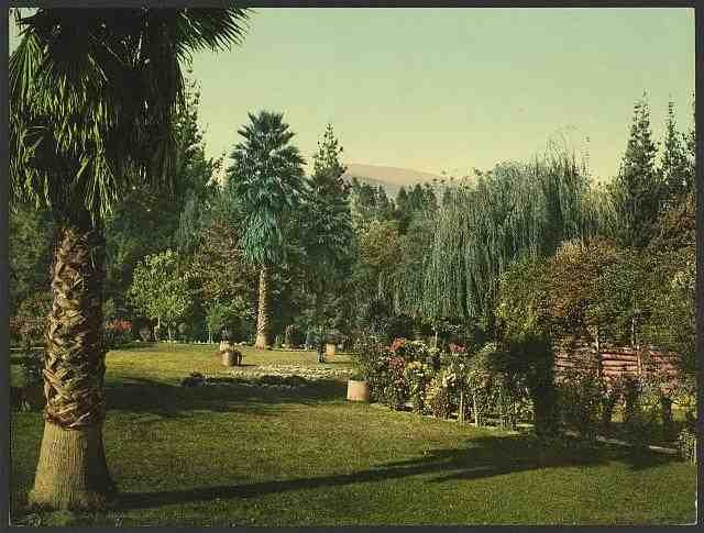 Vintage Lucky Baldwins ranch Pasadena A4 Photo Print