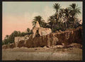 Vintage Marabut near Biskra A4 Photo Print