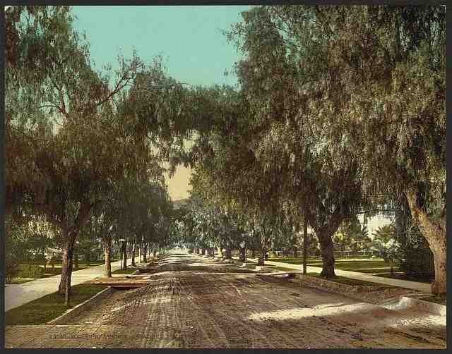 Vintage Marengo Avenue Pasadena California A4 Photo Print