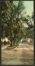 Vintage Marengo Avenue Pasadena A4 Photo Print