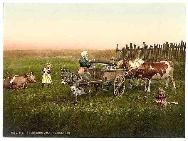 Vintage Milksellers Cologne the Rhine A4 Photo Print