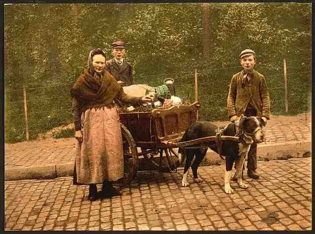 Vintage Milksellers I Brussels A4 Photo Print