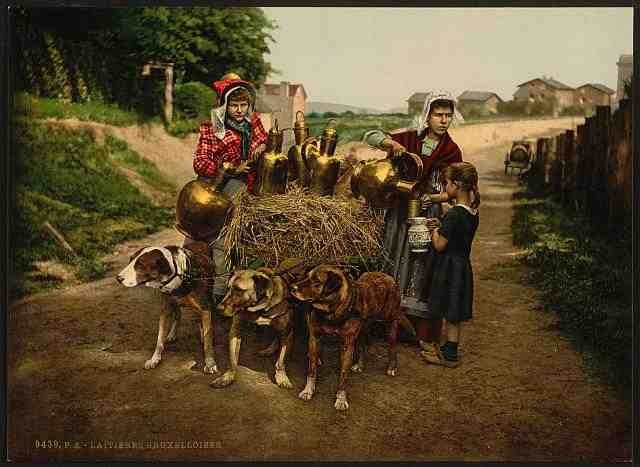 Vintage Milksellers III Brussels A4 Photo Print