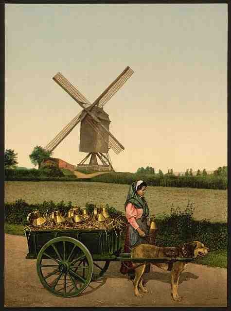 Vintage Milksellers V Brussels A4 Photo Print