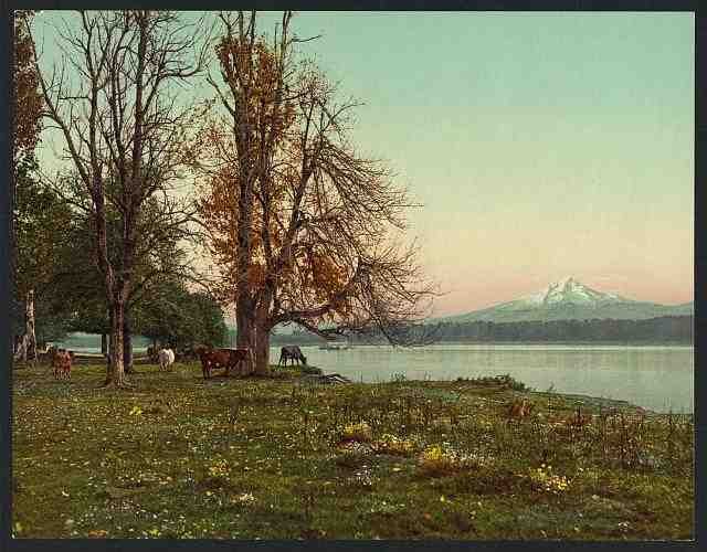 Vintage Mt Hood from the Columbia River A4 Photo Print