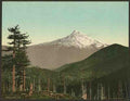 Vintage Mt Hood A4 Photo Print