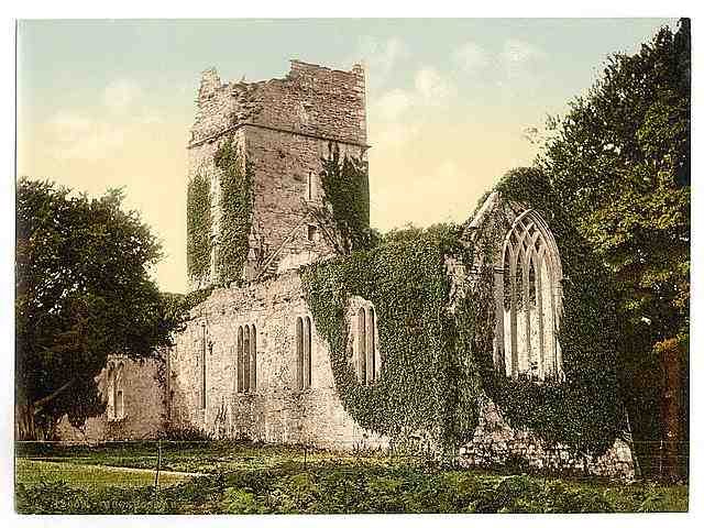 Vintage Muckross Abbey Killarney County Kerry A4 Photo Print