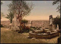Vintage Museum garden Carthage A4 Photo Print