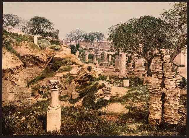 Vintage Museum garden II Carthage A4 Photo Print