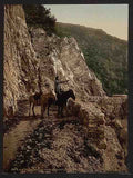Vintage Near the Bagatski Bridge Caucasus A4 Photo Print