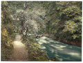 Vintage Ness Glen II Dalmellington A4 Photo Print