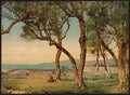Vintage Olive trees Mentone A4 Photo Print