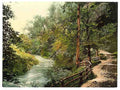 Vintage On the Trothy Monmouth A4 Photo Print