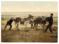 Vintage Opposition A4 Photo Print