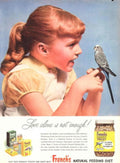 Vintage Parakeet Frenchs 1950s Vintage Retro Advert Poster