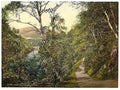 Vintage Pass of Killiecrankie Queens View I A4 Photo Print