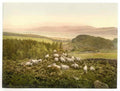 Vintage Peace And Plenty England A4 Photo Print