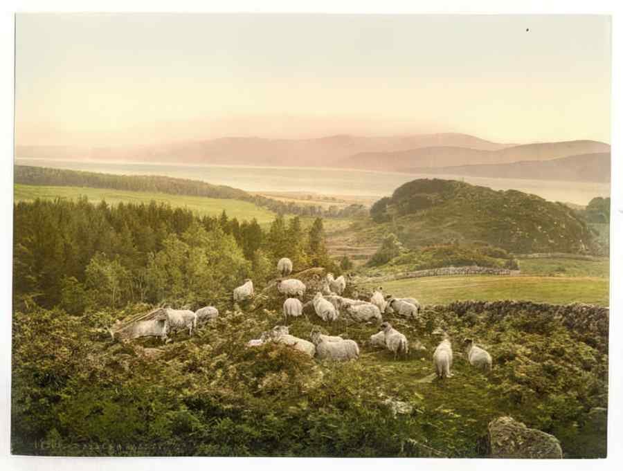 Vintage Peace And Plenty England A4 Photo Print