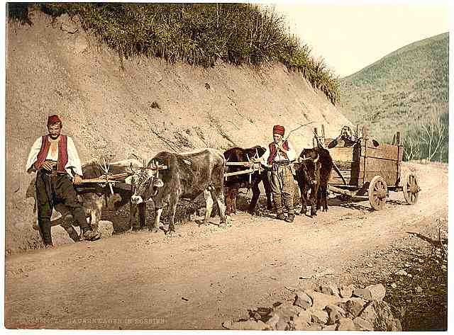 Vintage Peasant wagon Bosnia A4 Photo Print