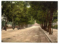 Vintage Promenade Looking Towards Queens Hotel Cheltenham England A4 Photo Print
