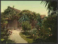 Vintage Rose covered cottage Pasadena A4 Photo Print