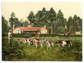 Vintage Royal Staff College Drag Hounds Camberley England A4 Photo Print