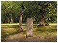 Vintage Rufus Stone New Forest Winchester A4 Photo Print