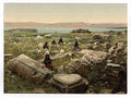 Vintage Ruins of Capernaium A4 Photo Print
