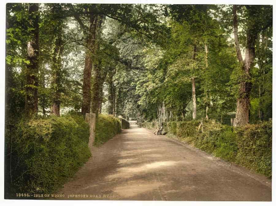 Vintage Ryde Spencer Road Isle Of Wight England A4 Photo Print
