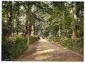 Vintage Ryde Spencer Road Isle of Wight A4 Photo Print