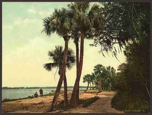Vintage Scene_ Indian River Florida A4 Photo Print