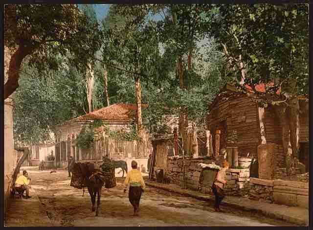 Vintage Scutari I Constantinople A4 Photo Print