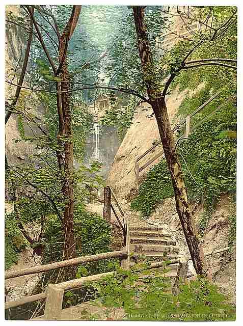 Vintage Shanklin Chine Isle of Wight A4 Photo Print