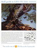 Vintage Shell Guide 1 1950s Vintage Retro Advert Poster